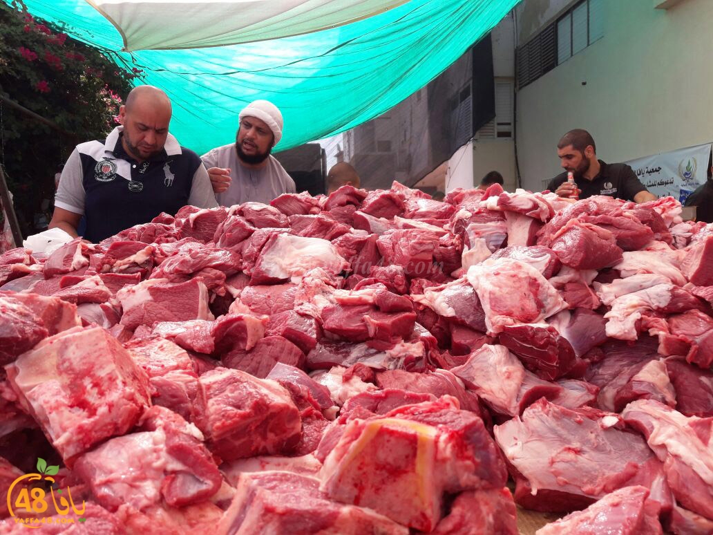 lod8om ada73y (60).jpg